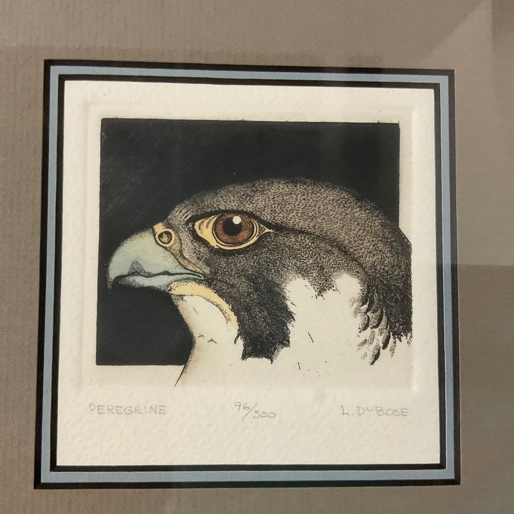 Framed 2 Eagle Prints by Lucius DuBose signed and numbered - Picture 2 of 6